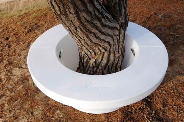 A Tree Pot Details
