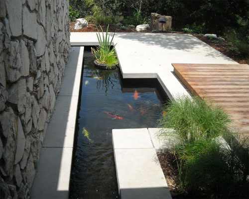 Fish pond design for home