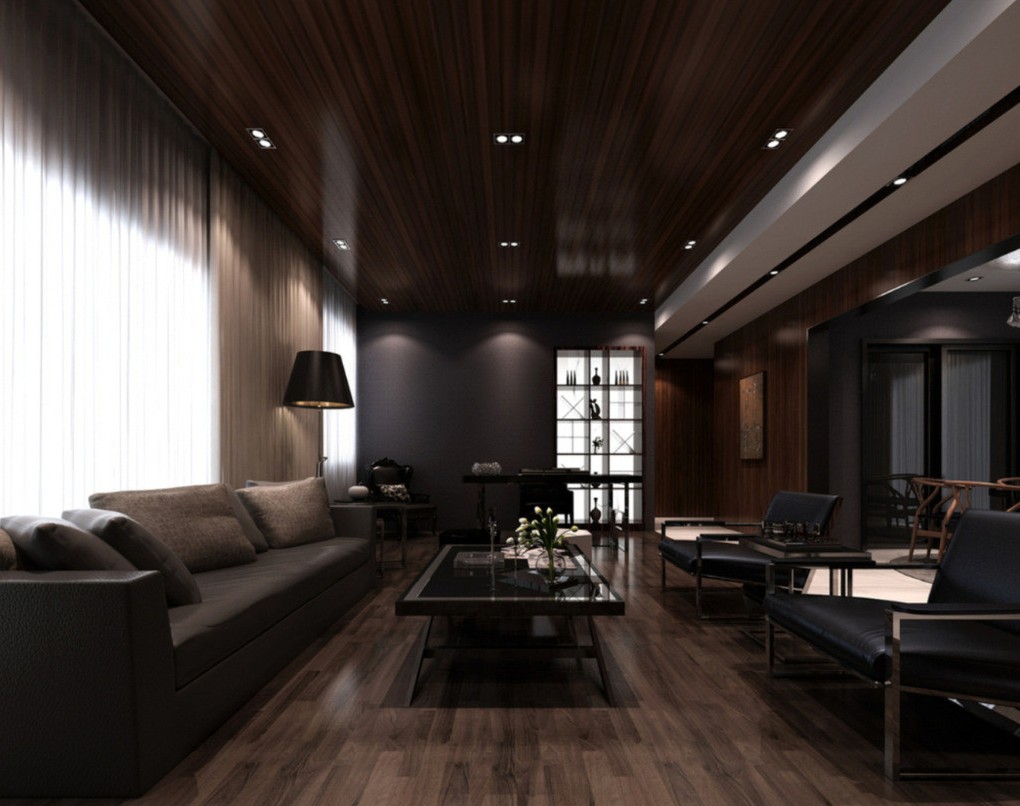 Modern Minimalist Interior  Design With Dark  Nuances 