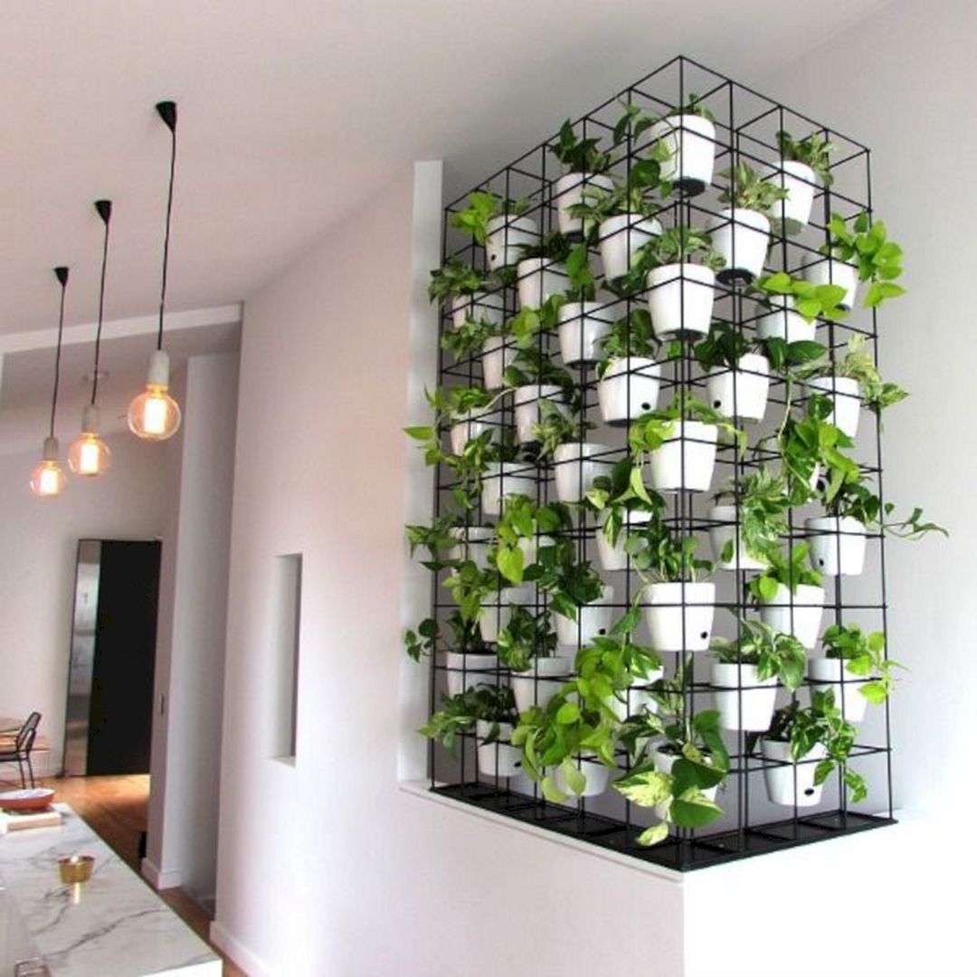 Simple Vertical Garden Interior for Simple Design