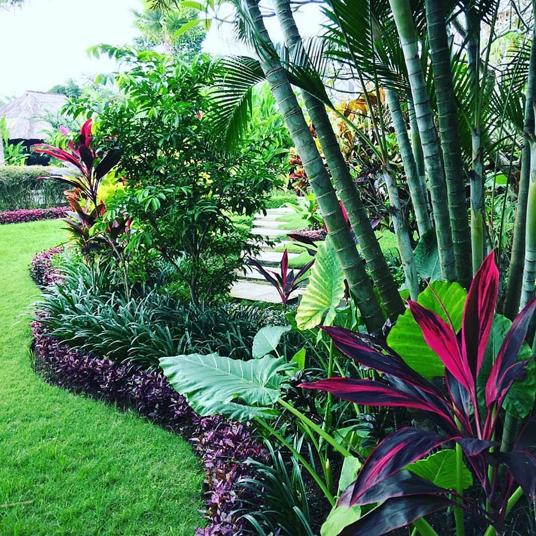 15+ Beautiful Tropical Front Yard Landscape Ideas To Make ...