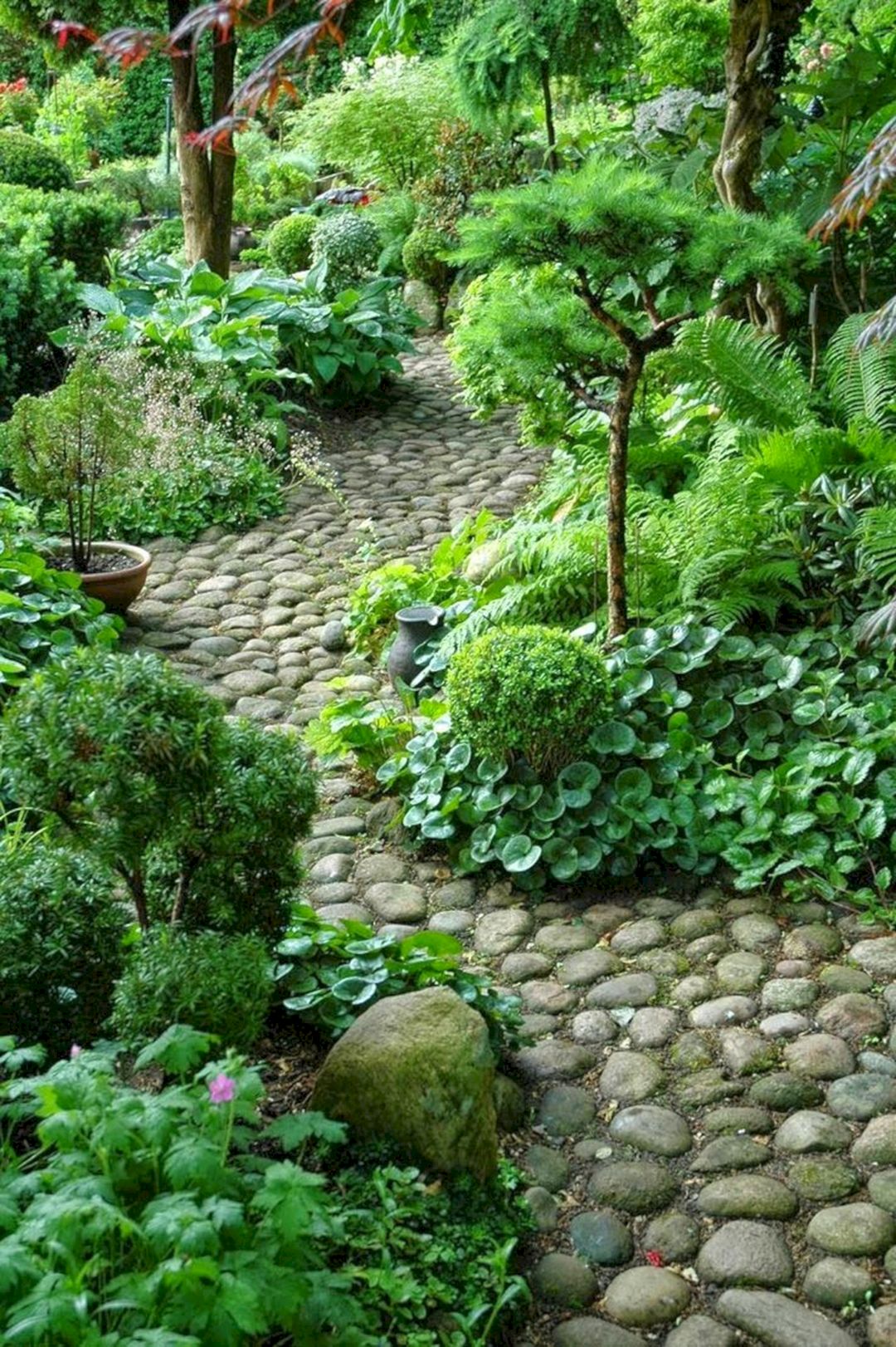 Backyard Garden With Stone Garden Path
