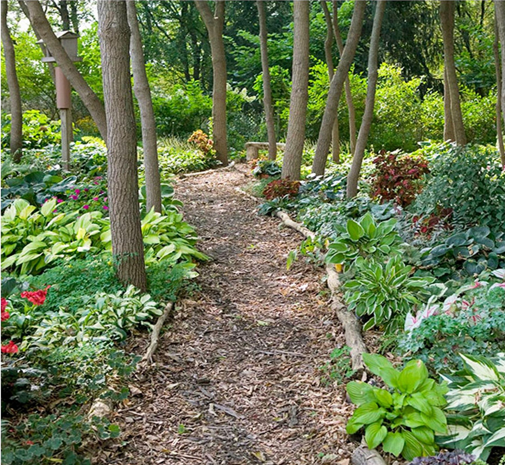 Natural Pathway with Wooden edge