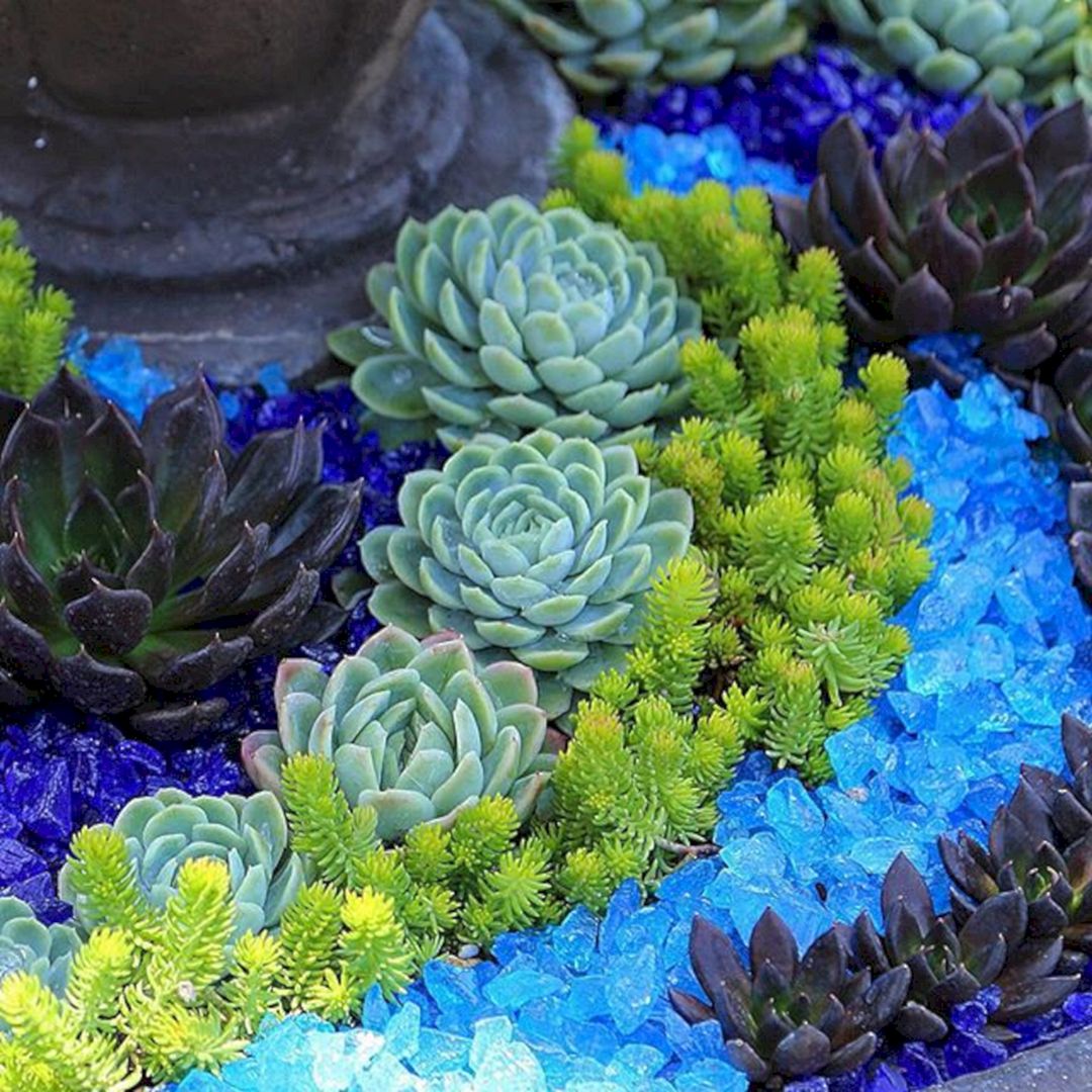 Awesome Container Garden with Succulents: 45+ Best Design ...