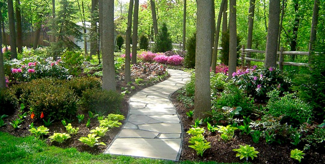 Try To Awesome Your Backyard With Our 25+ Woodland Garden ...
