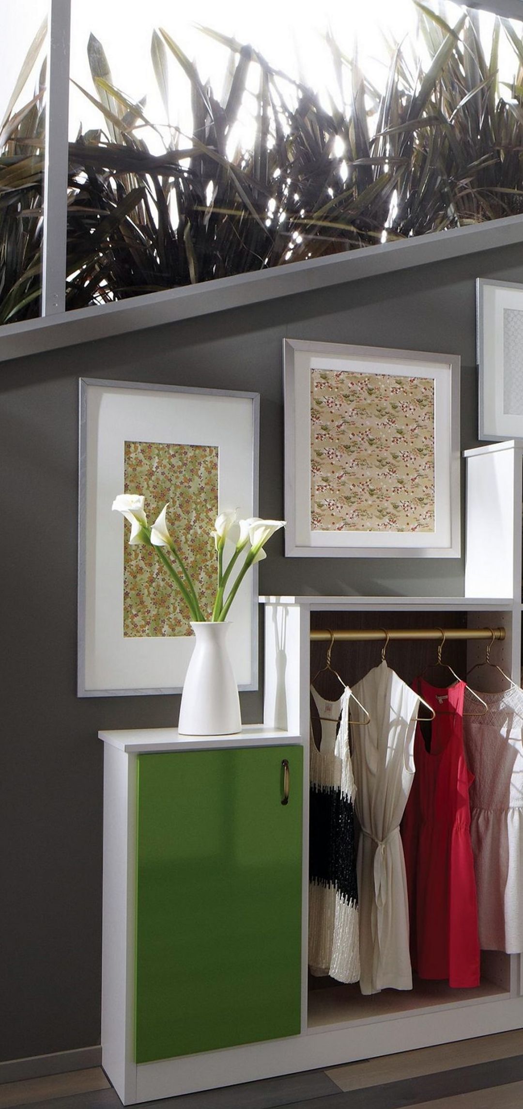 Sunlight With Wall And Plant Accessories In Wardrobe Limited Room