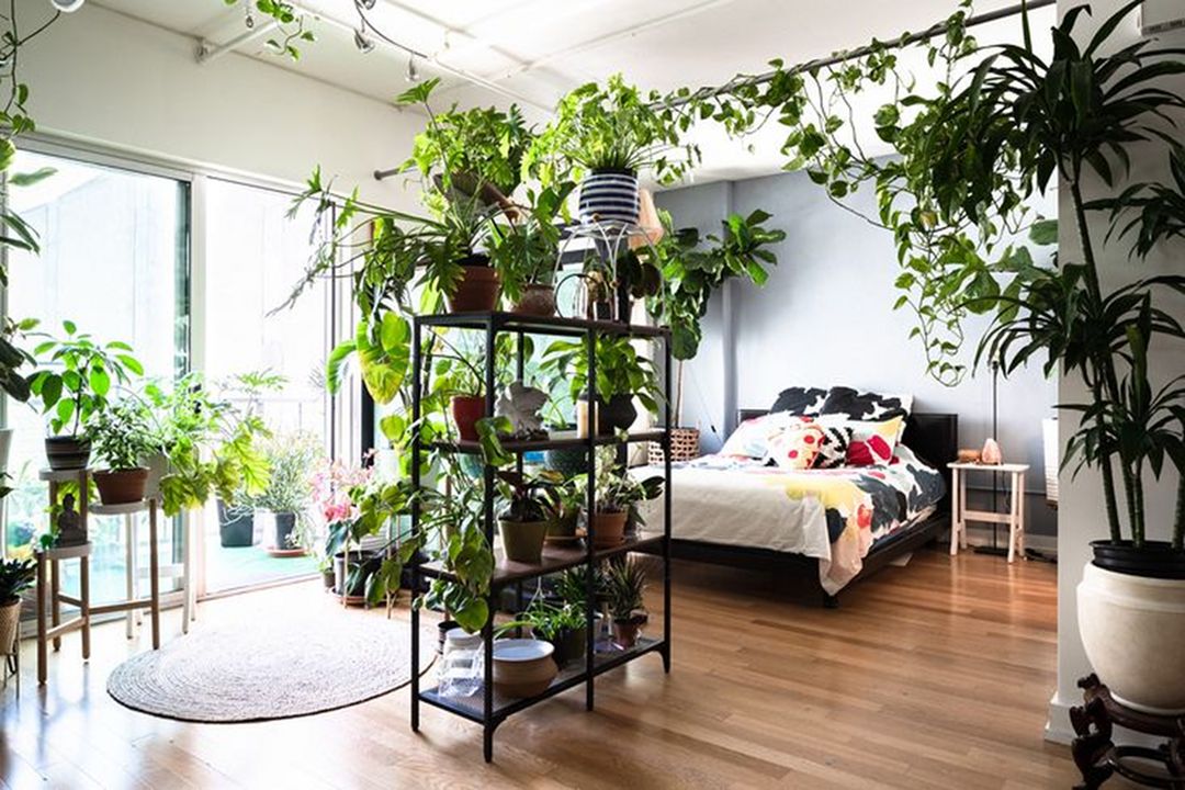 Indoor Plant Interior From Hunker