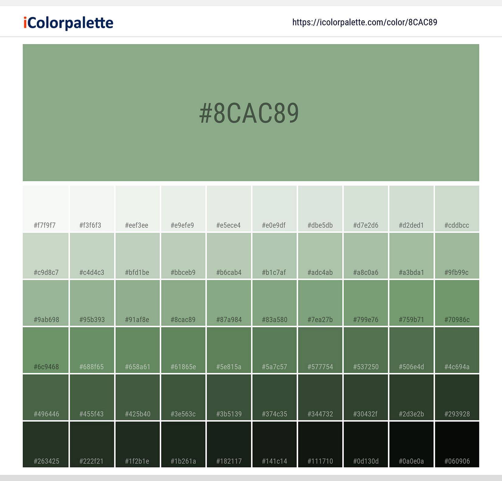 Sage Green From Icolorpalette