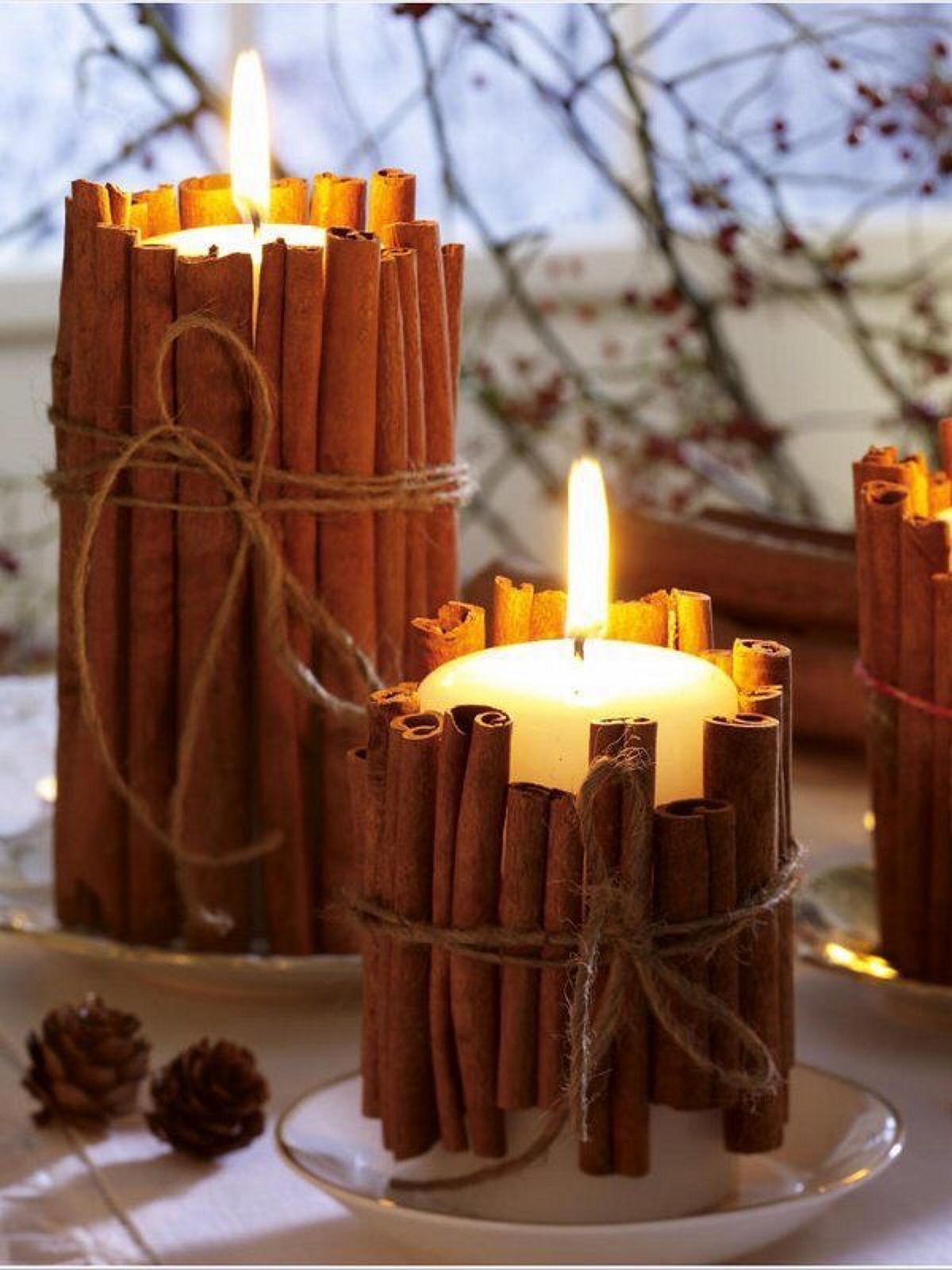 Scented Cinnamon Candles From Homebnc